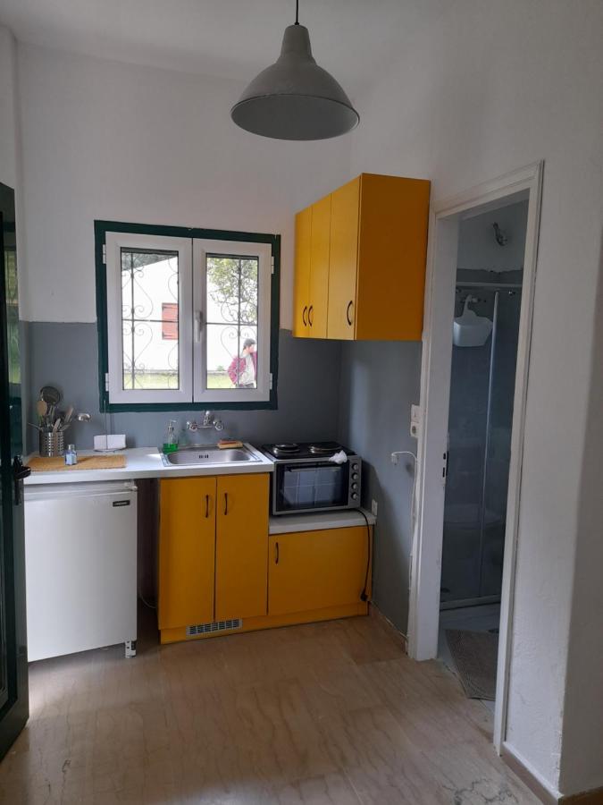Olive Terra Holiday Aparments 莱夫基米 外观 照片